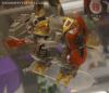 BotCon 2013: Hasbro Display: Platinum Edition - Transformers Event: DSC06218a