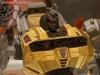BotCon 2013: Hasbro Display: Platinum Edition - Transformers Event: DSC06308b
