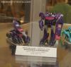BotCon 2013: Hasbro Display: Beast Hunters and Beast Hunters Predacons Rising - Transformers Event: DSC06494