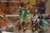 BotCon 2013: Hasbro Display: Beast Hunters and Beast Hunters Predacons Rising - Transformers Event: DSC06516