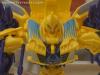 BotCon 2013: Hasbro Display: Beast Hunters and Beast Hunters Predacons Rising - Transformers Event: DSC06525b
