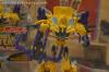 BotCon 2013: Hasbro Display: Beast Hunters and Beast Hunters Predacons Rising - Transformers Event: DSC06526