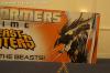 BotCon 2013: Hasbro Display: Beast Hunters and Beast Hunters Predacons Rising - Transformers Event: DSC16601
