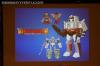 Botcon 2016: Transformers Collector's Club Roundtable Panel - Transformers Event: DSC03557