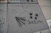 Paramount's Last Knight Super Fan Event: Movie star handprints at Grauman's Chinese Theatre - Transformers Event: Hollywood Oriental Theater 028